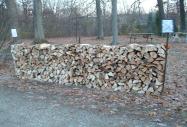 A logging conveory dumping wood into a Truck.